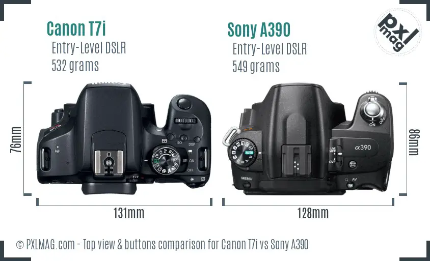 Canon T7i vs Sony A390 top view buttons comparison
