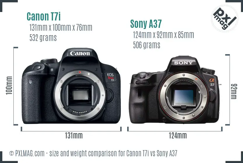 Canon T7i vs Sony A37 size comparison