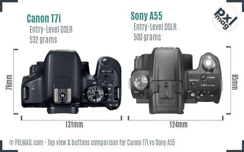 Canon T7i vs Sony A55 top view buttons comparison