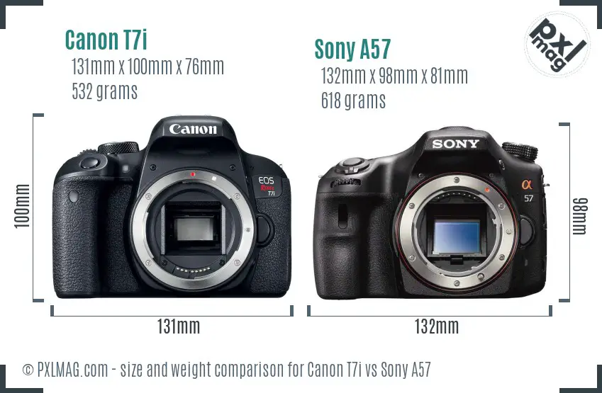 Canon T7i vs Sony A57 size comparison