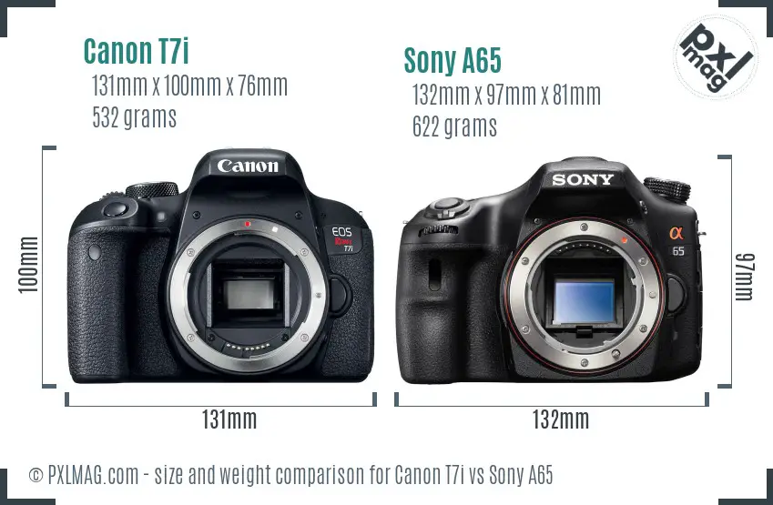 Canon T7i vs Sony A65 size comparison