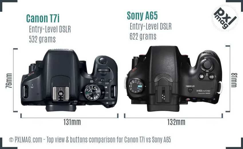 Canon T7i vs Sony A65 top view buttons comparison