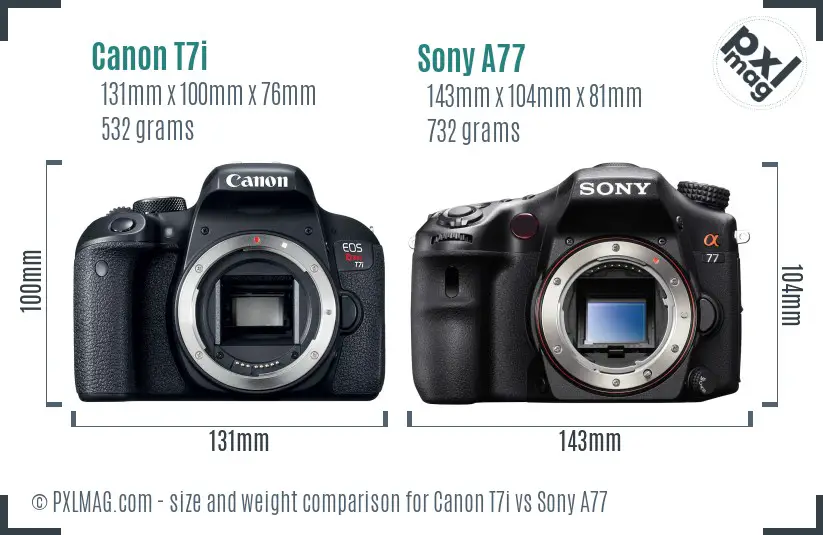 Canon T7i vs Sony A77 size comparison