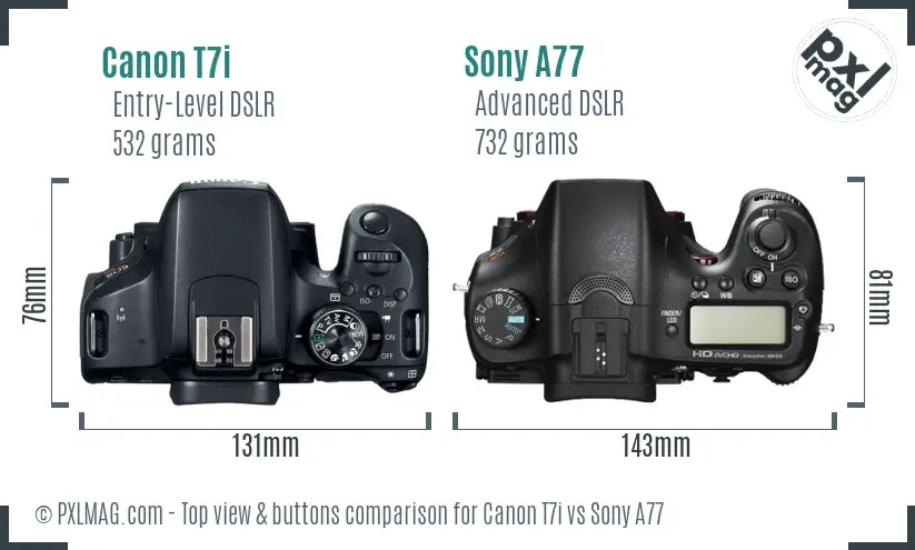Canon T7i vs Sony A77 top view buttons comparison