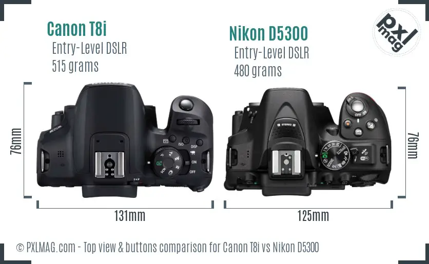 Canon T8i vs Nikon D5300 top view buttons comparison