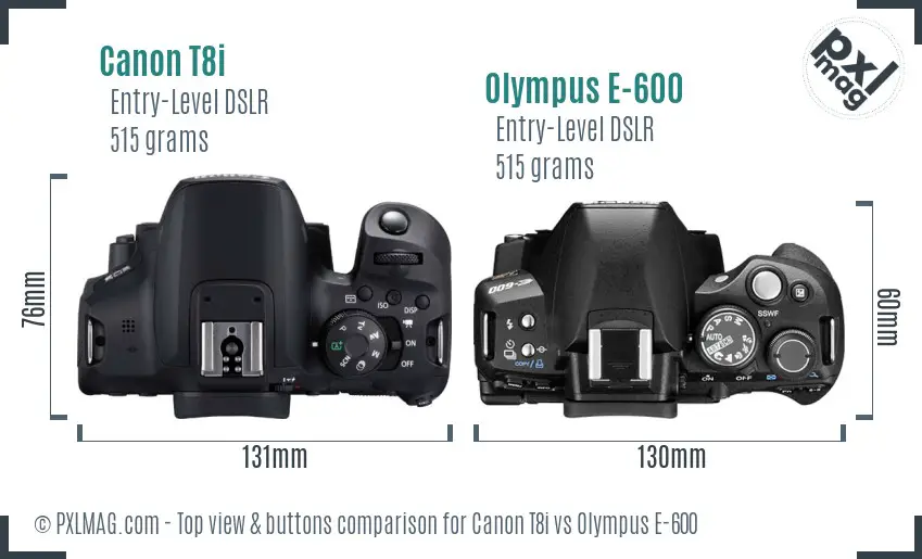 Canon T8i vs Olympus E-600 top view buttons comparison