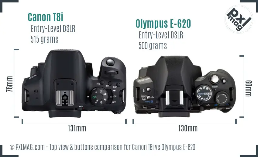 Canon T8i vs Olympus E-620 top view buttons comparison