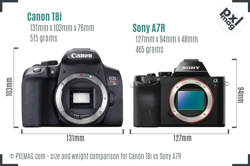 Canon T8i vs Sony A7R size comparison