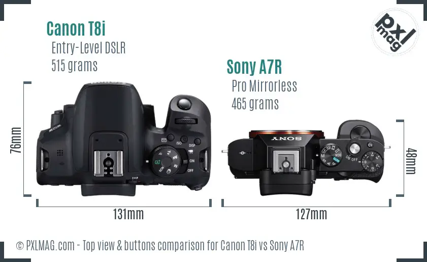 Canon T8i vs Sony A7R top view buttons comparison