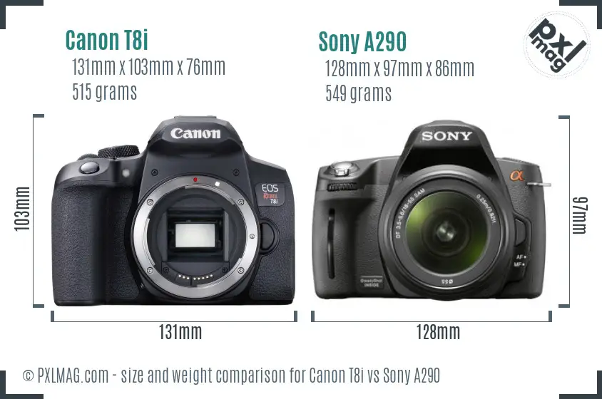 Canon T8i vs Sony A290 size comparison