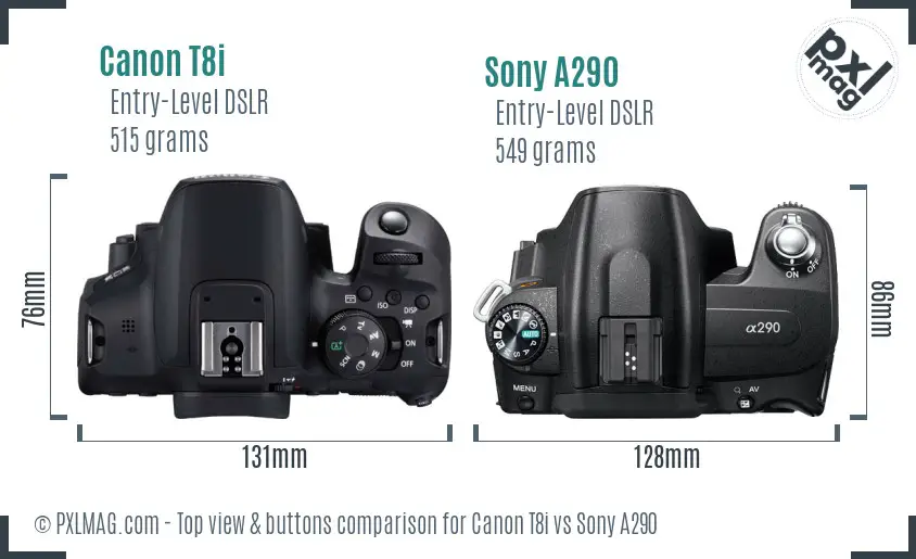 Canon T8i vs Sony A290 top view buttons comparison