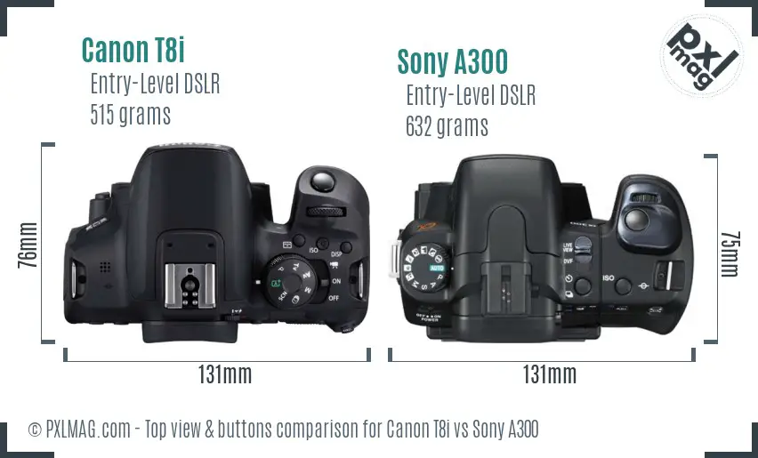 Canon T8i vs Sony A300 top view buttons comparison