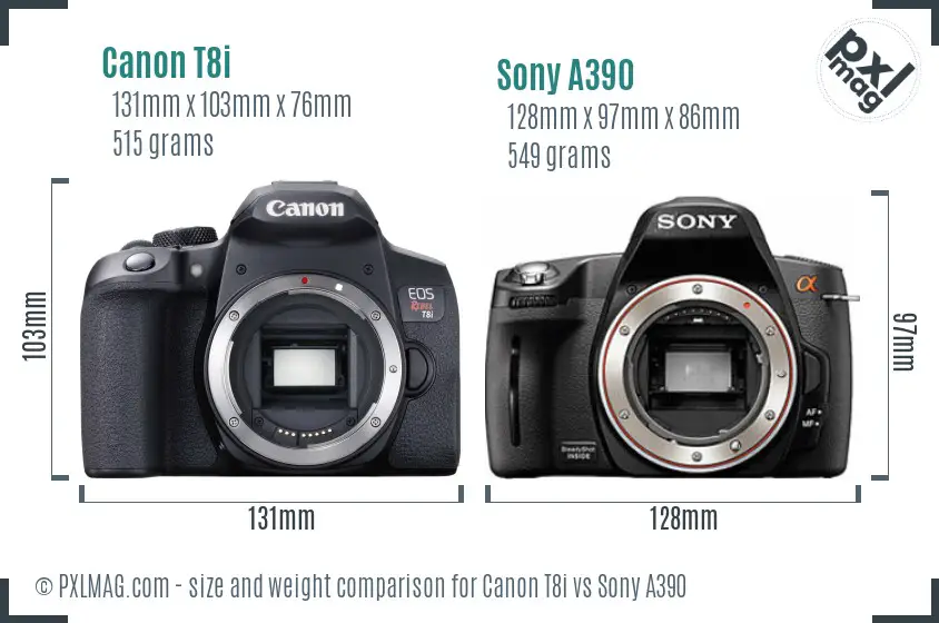 Canon T8i vs Sony A390 size comparison