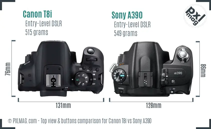 Canon T8i vs Sony A390 top view buttons comparison