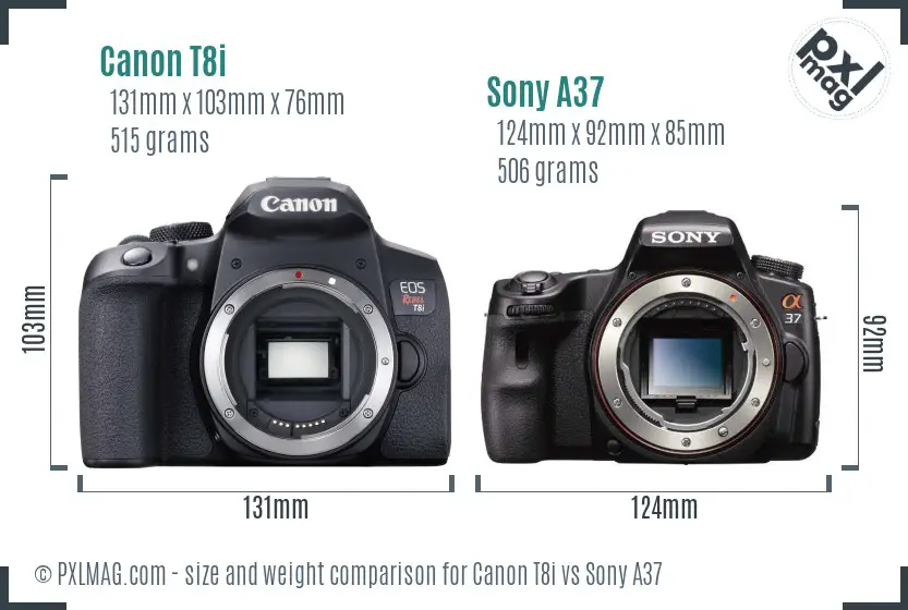 Canon T8i vs Sony A37 size comparison