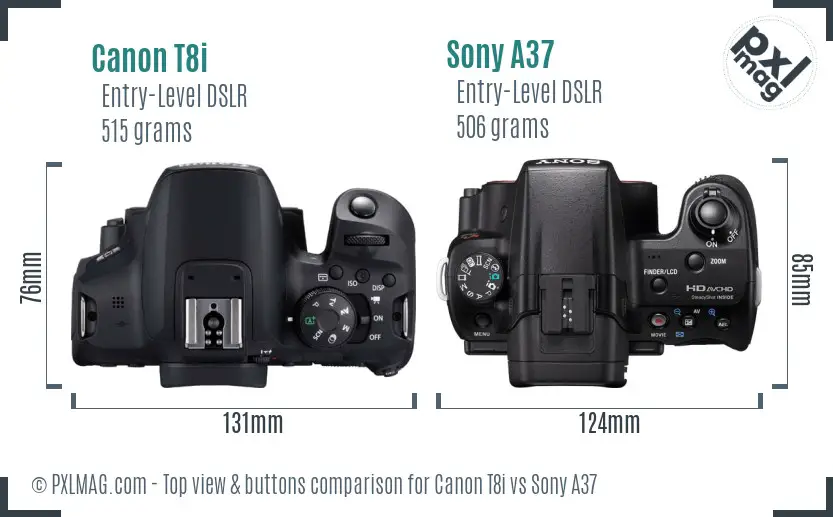 Canon T8i vs Sony A37 top view buttons comparison