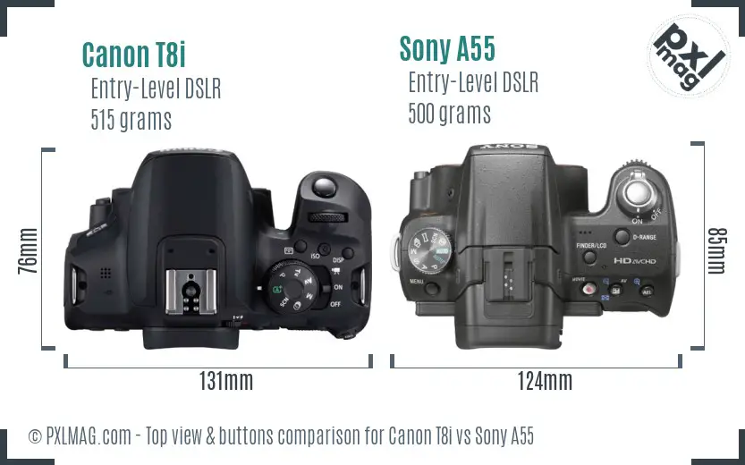 Canon T8i vs Sony A55 top view buttons comparison