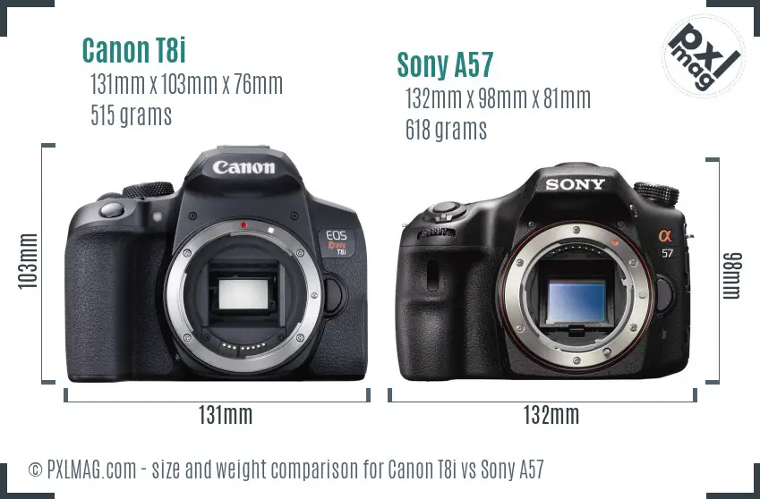 Canon T8i vs Sony A57 size comparison
