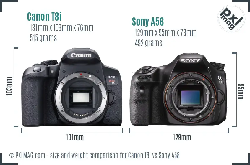 Canon T8i vs Sony A58 size comparison
