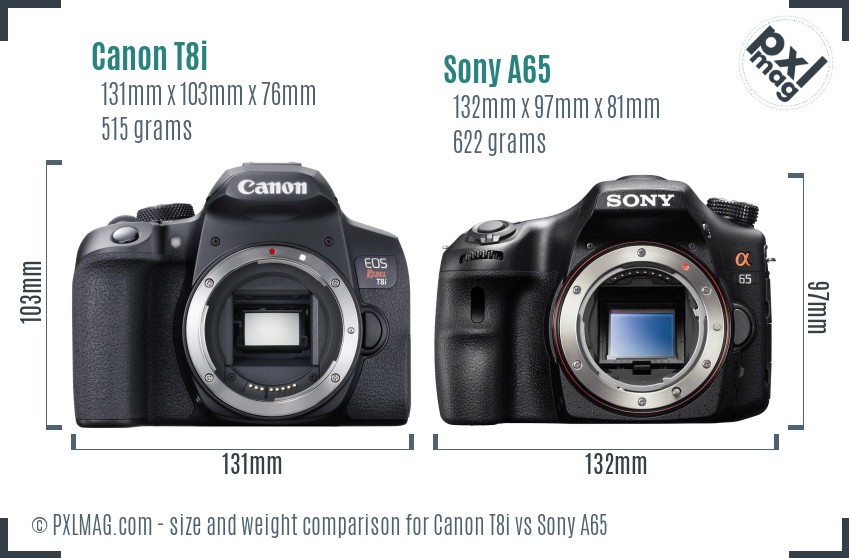 Canon T8i vs Sony A65 size comparison