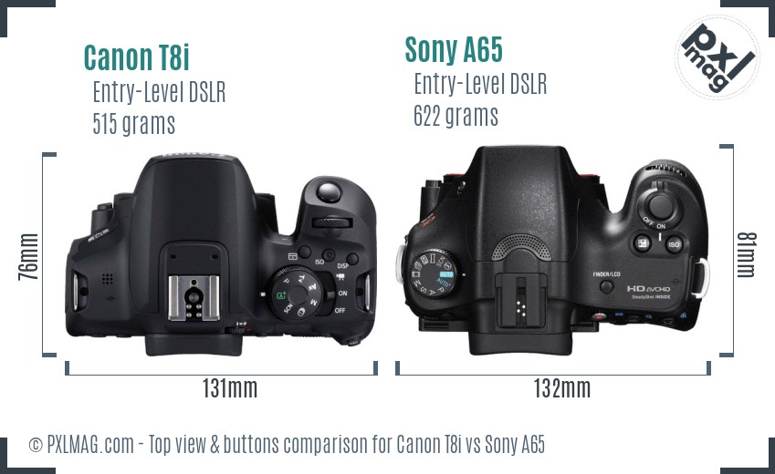 Canon T8i vs Sony A65 top view buttons comparison