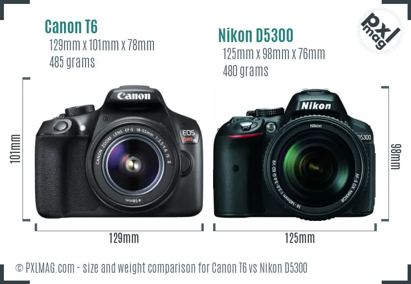 Canon T6 vs Nikon D5300 size comparison