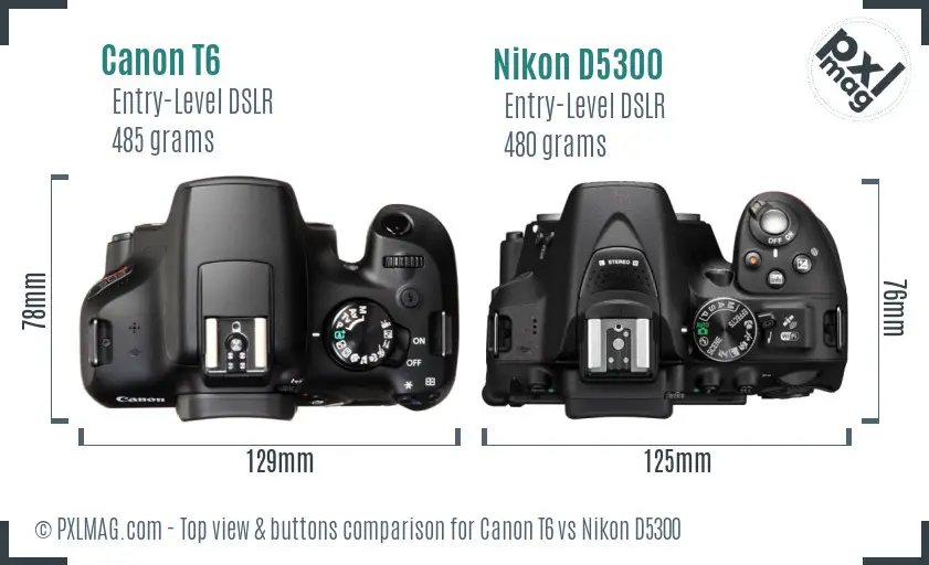 Canon T6 vs Nikon D5300 top view buttons comparison