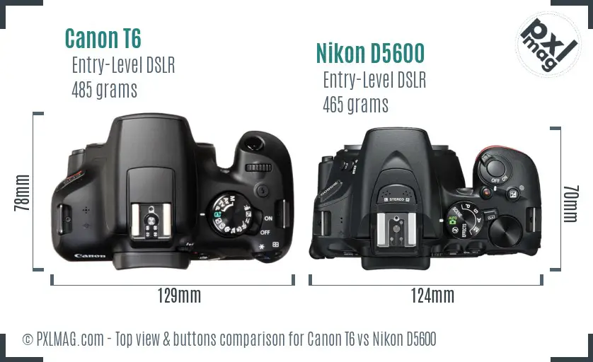 Canon T6 vs Nikon D5600 top view buttons comparison