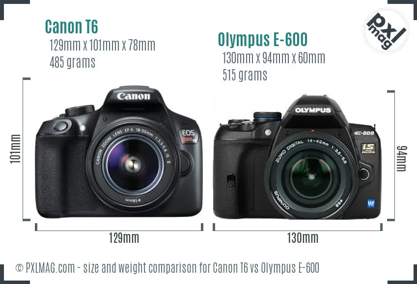 Canon T6 vs Olympus E-600 size comparison