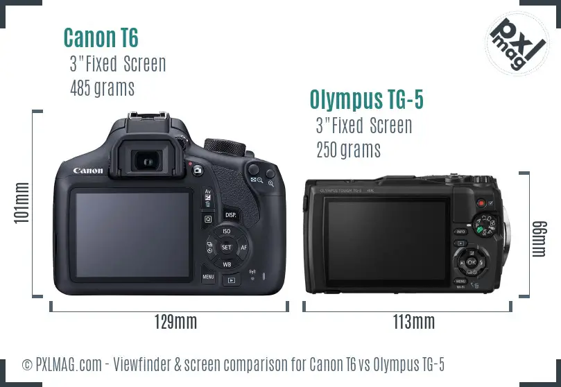 Canon T6 vs Olympus TG-5 Screen and Viewfinder comparison