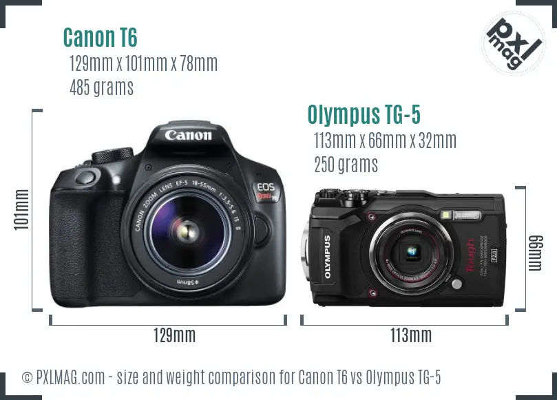 Canon T6 vs Olympus TG-5 size comparison