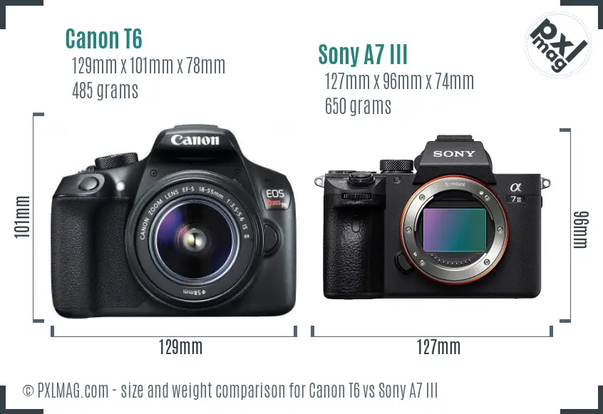Canon T6 vs Sony A7 III size comparison Canon T6 vs Sony A7 III size comparison