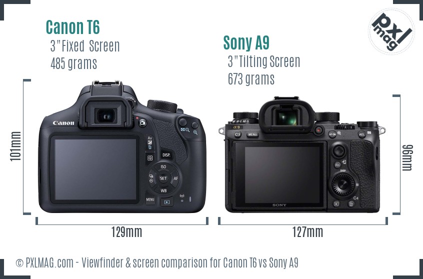 Canon T6 vs Sony A9 Screen and Viewfinder comparison