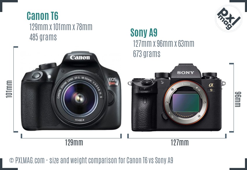 Canon T6 vs Sony A9 size comparison
