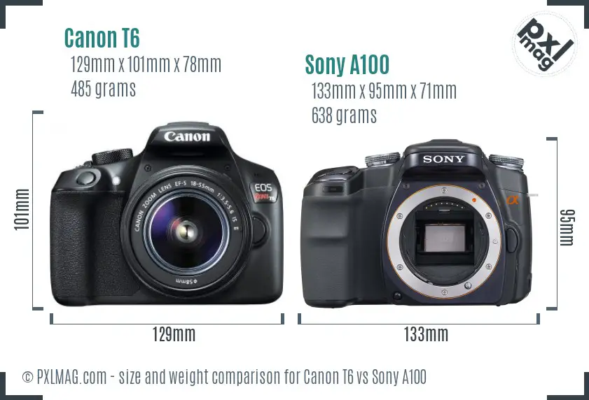 Canon T6 vs Sony A100 size comparison