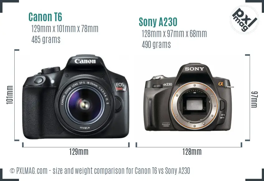 Canon T6 vs Sony A230 size comparison