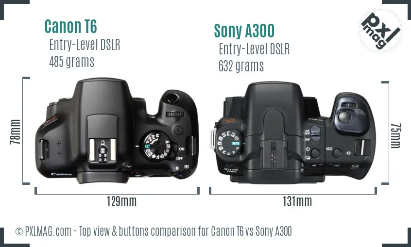 Canon T6 vs Sony A300 top view buttons comparison