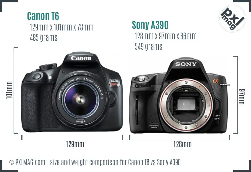 Canon T6 vs Sony A390 size comparison