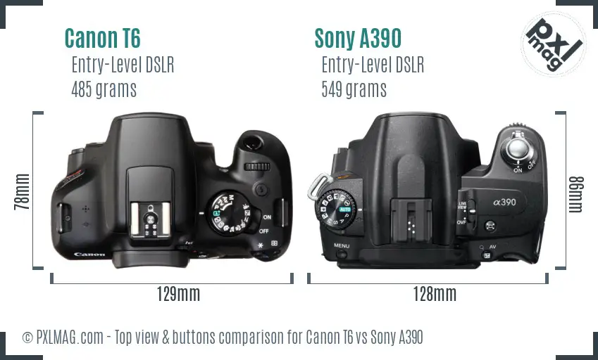 Canon T6 vs Sony A390 top view buttons comparison