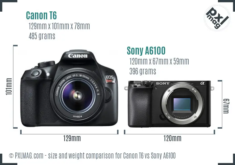 Canon T6 vs Sony A6100 size comparison