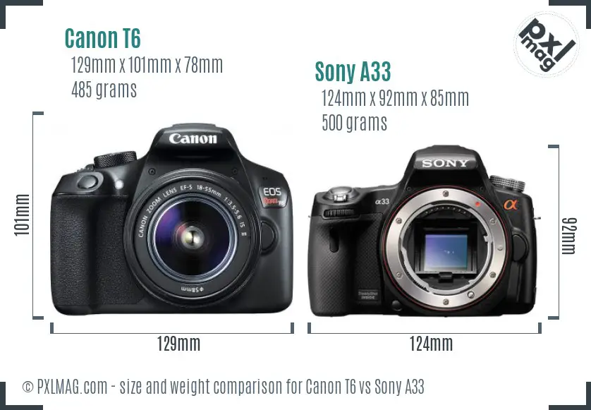 Canon T6 vs Sony A33 size comparison