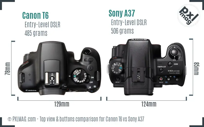 Canon T6 vs Sony A37 top view buttons comparison