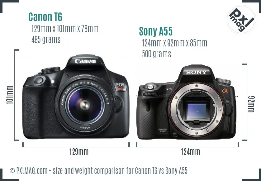 Canon T6 vs Sony A55 size comparison