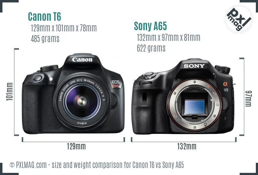 Canon T6 vs Sony A65 size comparison