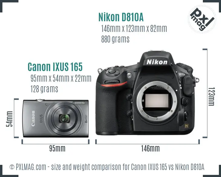 Canon IXUS 165 vs Nikon D810A size comparison