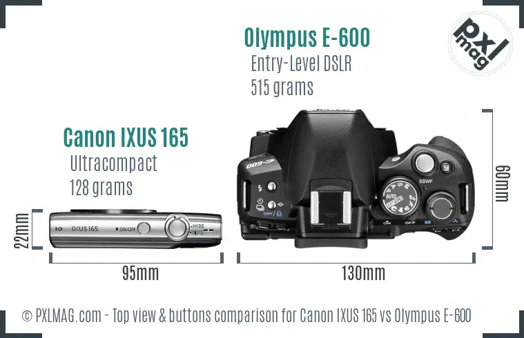 Canon IXUS 165 vs Olympus E-600 top view buttons comparison
