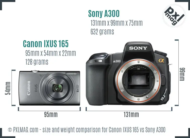 Canon IXUS 165 vs Sony A300 size comparison