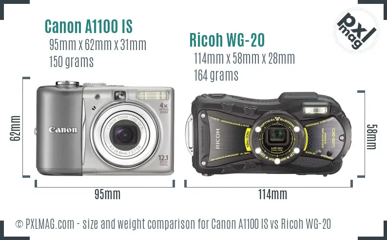 Size Comparison