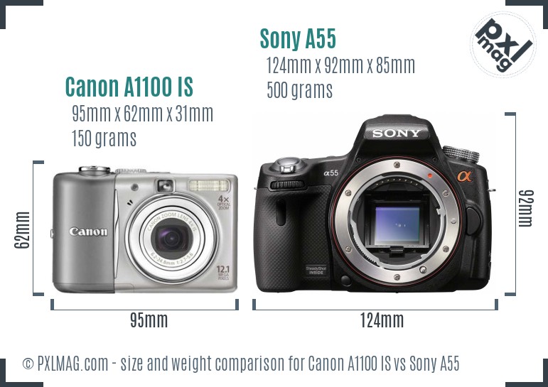 Canon A1100 IS vs Sony A55 size comparison