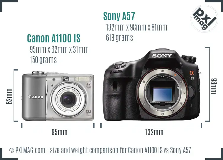 Canon A1100 IS vs Sony A57 size comparison